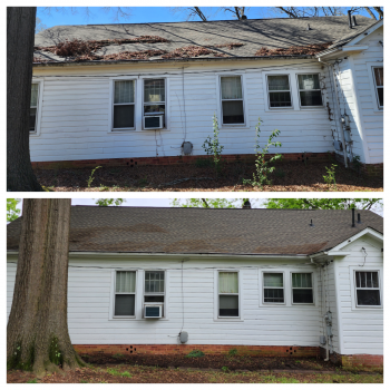 Elder Orphan Care volunteers cleaned client Wilma's roof of leaves and did yard work